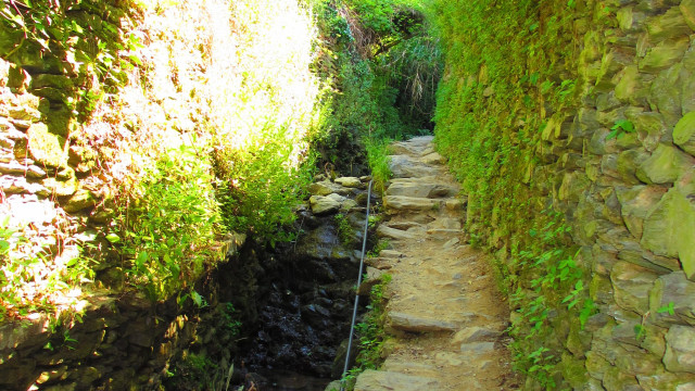 Path between Monterosso and Vernazza